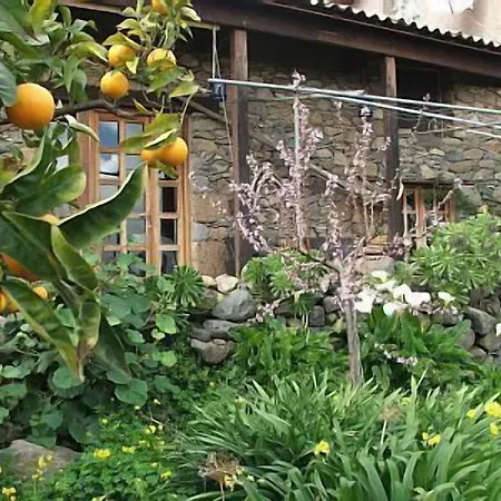 Historisches Apartment