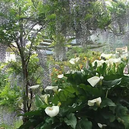 Historisches 公寓 Tenteniguada