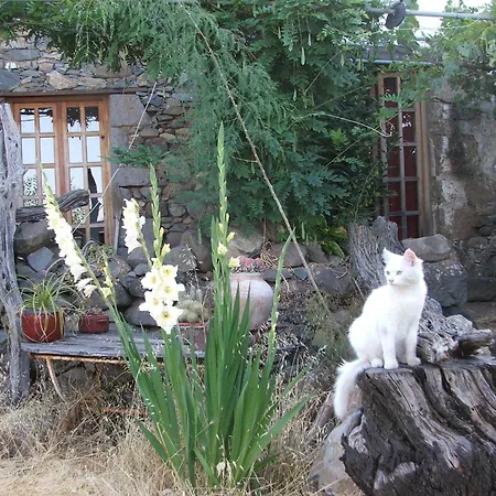 Historisches 公寓 Tenteniguada